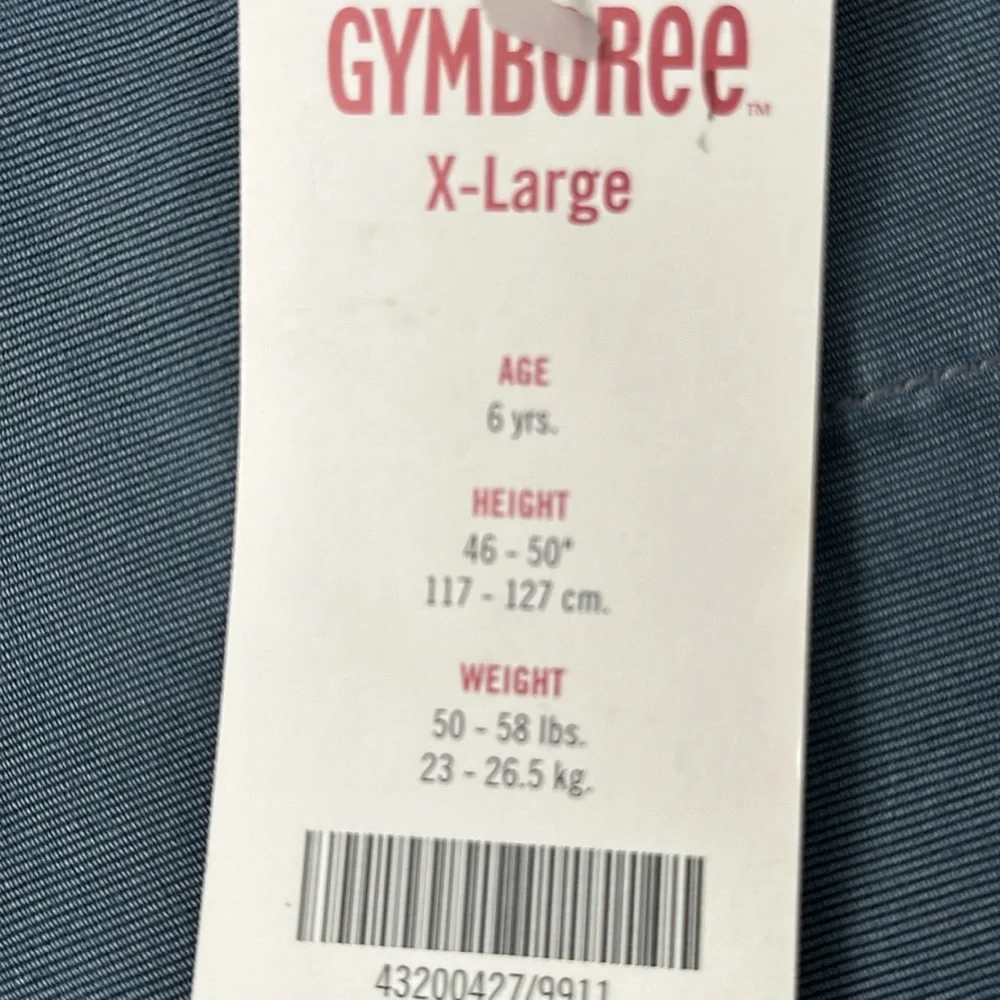 Gymboree 2 pc short outfit , NWT
